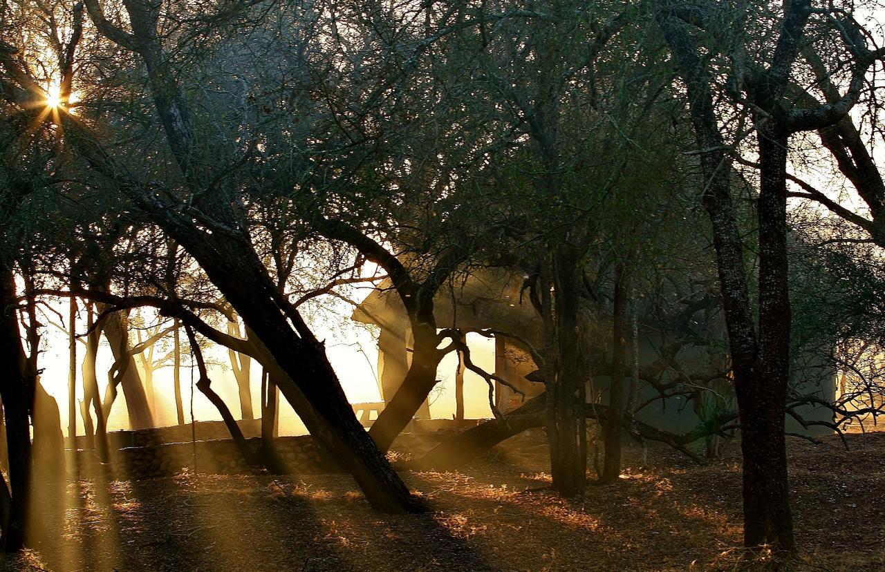 Hlane Royal National Park Villa Simunye Dış mekan fotoğraf